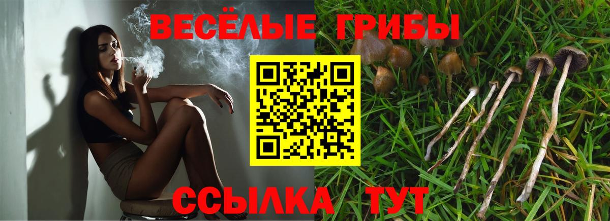 Псилоцибиновые грибы Cubensis  Псилоцибиновые грибы MAGIC MUSHROOMS  Сертолово  закладки  Вход с VPN 